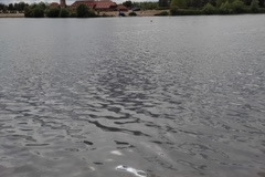 image13