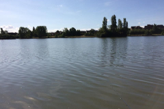 image22
