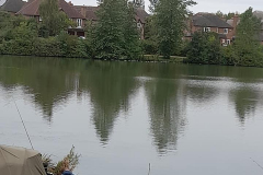 image24