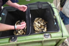 image83