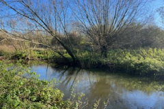 image5