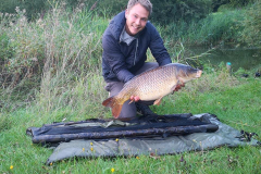image14