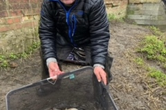 image33